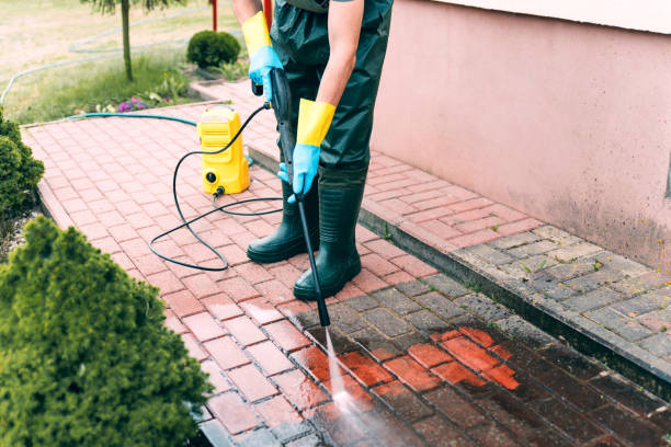 Best Driveway Pressure Washing  in Waynesville, NC